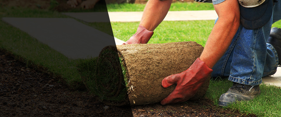 Country Club Hills Landscapers